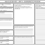 AQA GCSE Biology Bioenergetics Revision Worksheet Teaching Resources