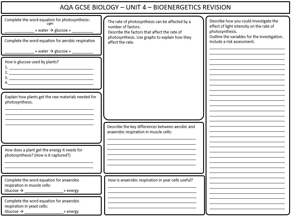 AQA GCSE Biology Bioenergetics Revision Worksheet Teaching Resources