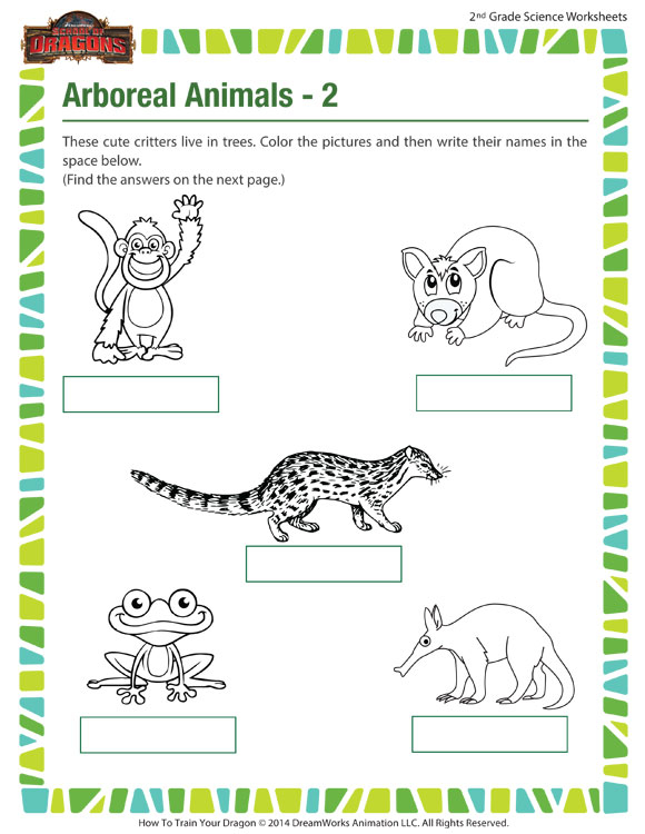 Arboreal Animals 2 Worksheet View Science 2nd Grade SoD