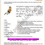 Bee Movie Answer Key ESL Worksheet By Ericaplak