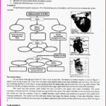 Cambridge Grade 7 Science Worksheets Worksheet Resume Examples