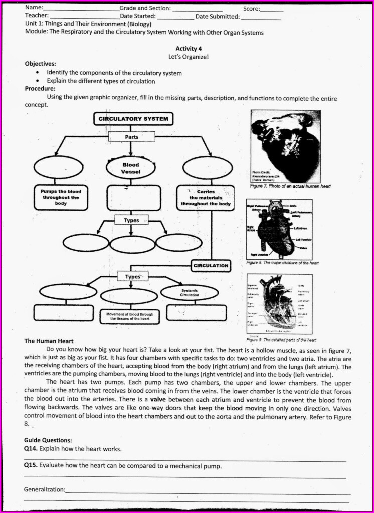 Cambridge Grade 7 Science Worksheets Worksheet Resume Examples