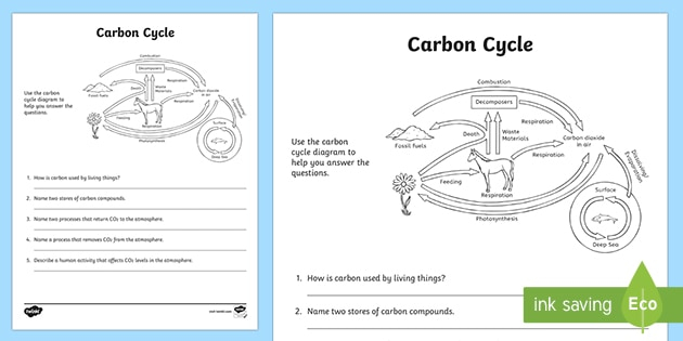 Carbon Cycle Worksheet 5th Grade