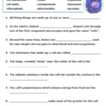 Cells Worksheets 7th Grade Science Worksheets High School Biology