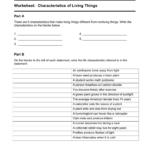 Characteristics Of Life Worksheet