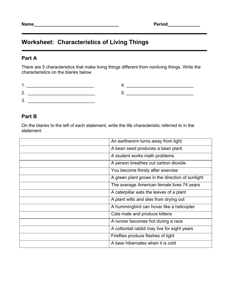 Characteristics Of Life Worksheet