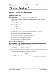 Skills Worksheet Directed Reading B Answer Key Life Science ...