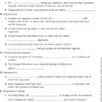 Earth s Motion Lesson 1 Answer Key Glencoe Eglasopa