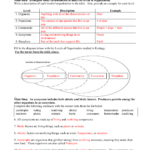 Ecology Review Worksheet 1 Free Download Goodimg co