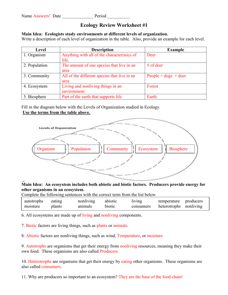  Ecology Review Worksheet 1 Free Download Goodimg co