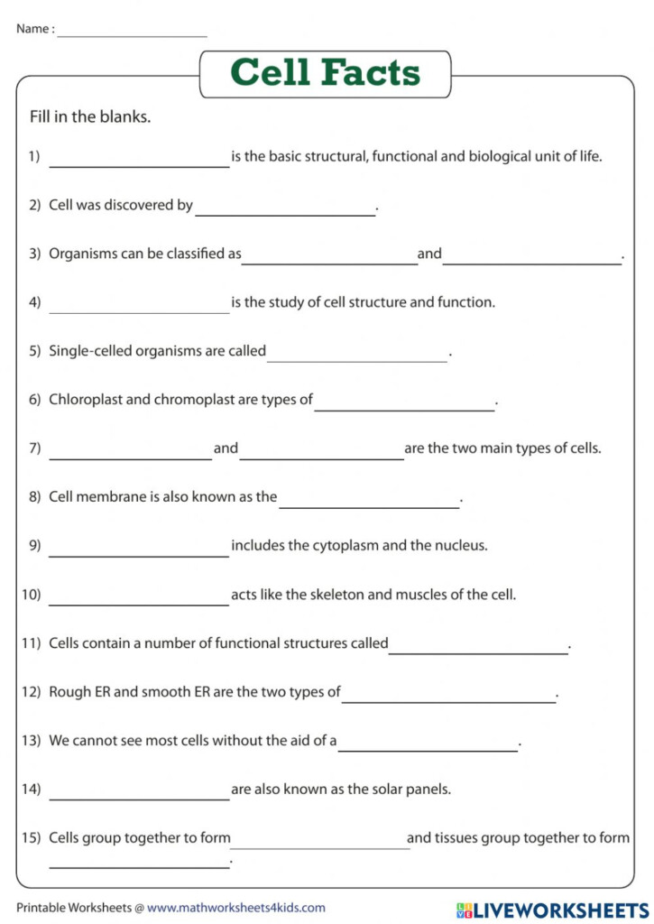 Ejercicio De Cells 9TH GRADE