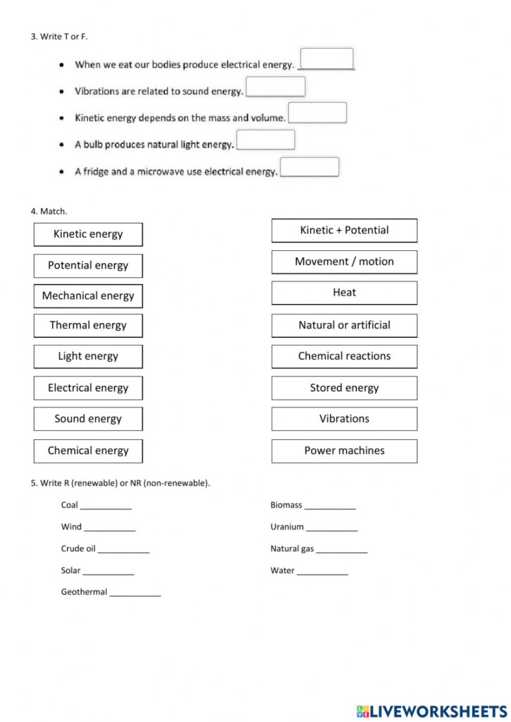 Energy Interactive Worksheet For 5th Grade