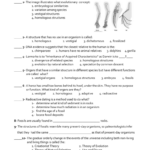 Evolution Video Worksheet Free Download Gambr co