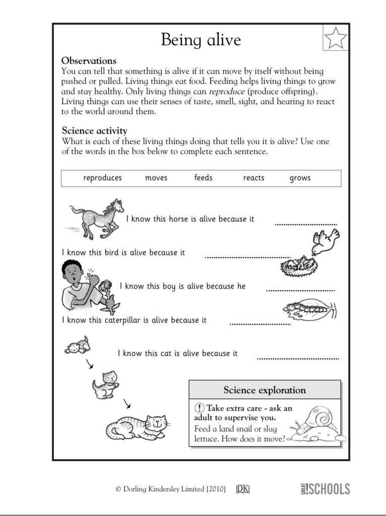 First Grade Science Printable Worksheets WERT SHEET