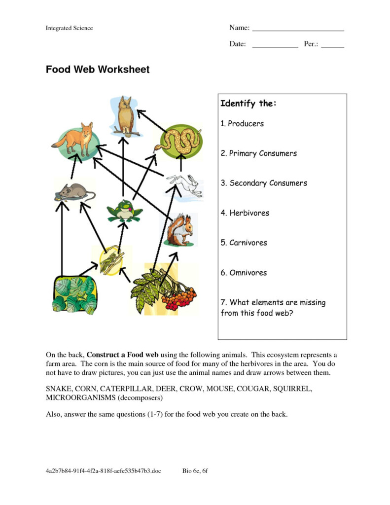 Food Chain Worksheet 5Th Grade Db excel