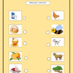 Food Delicious Science We Are What We Eat Worksheet Answers