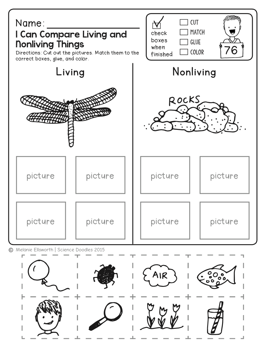 FREEBIE NO PREP Kindergarten Science Doodle Printables Free Science