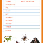 freeworksheets Class2 Animals edwayz EVS Science Worksheets