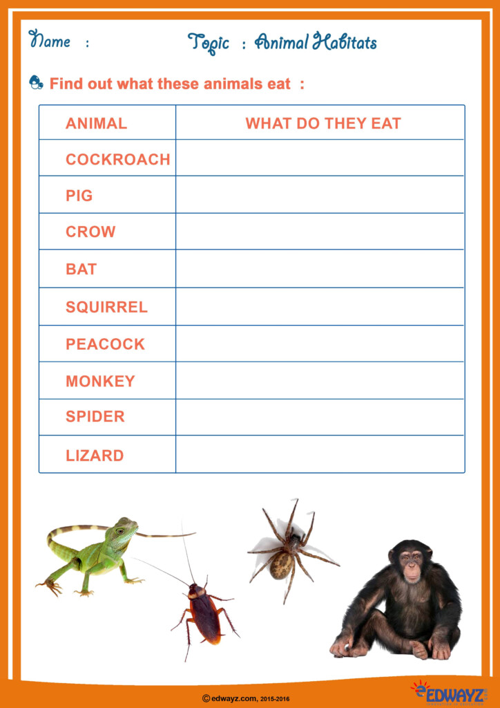  freeworksheets Class2 Animals edwayz EVS Science Worksheets 