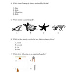 General Science Review Of Grade 8 Topics Worksheet