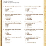 Genetics Quiz View Science Worksheet For 7th Grade SoD