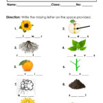 Grade 1 Science Worksheets K5 Learning Science Worksheets For Grade 1