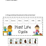 Grade 1 Science Worksheets K5 Learning Science Worksheets K5 Learning