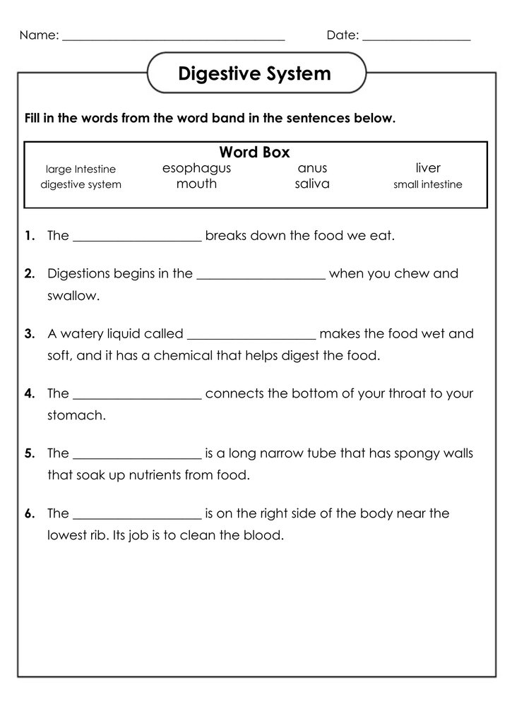 Grade 4 Science Worksheets Pdf Printable Science Worksheets K5 