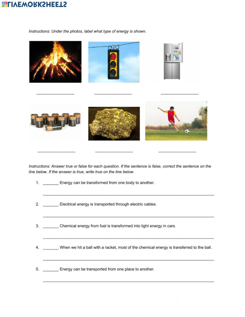 Grade 5 Science Exercise 5 Science 5 Worksheet Kinley Rivera