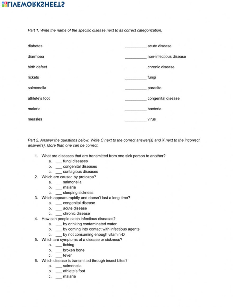 Grade 6 Revision Term 1 2 Worksheet Grade 6 Revision Term 1 2 