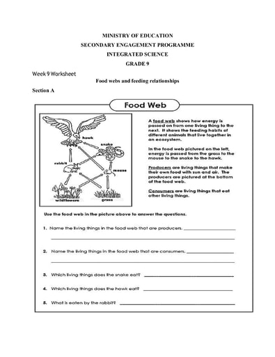 Grade 9 Integrated Science Week 9 Lesson 1 And 2 Worksheet 1 And Answer 