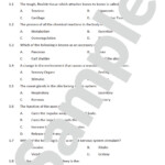 Grade 9 Natural Sciences Test Musculoskeletal Excretory And Nervous