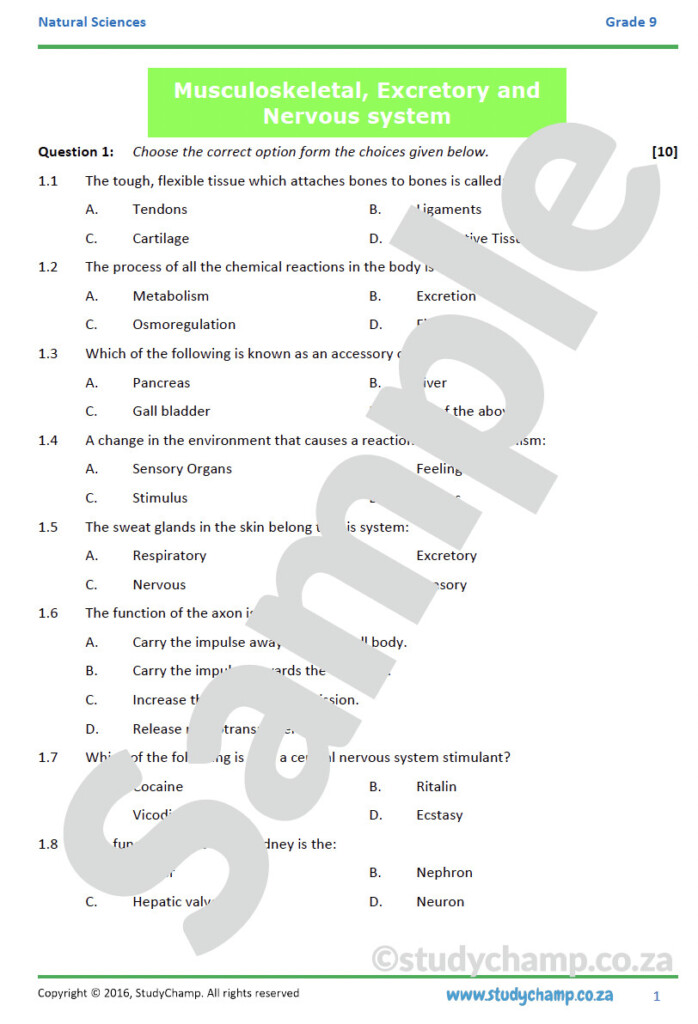 Grade 9 Natural Sciences Test Musculoskeletal Excretory And Nervous 