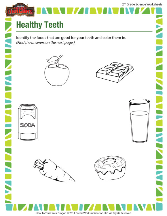 Healthy Teeth View Science Worksheets For 2nd Grade SoD