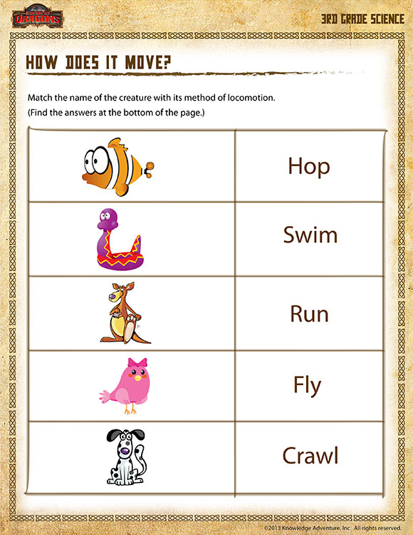 How Does It Move View 3rd Grade Science Worksheets