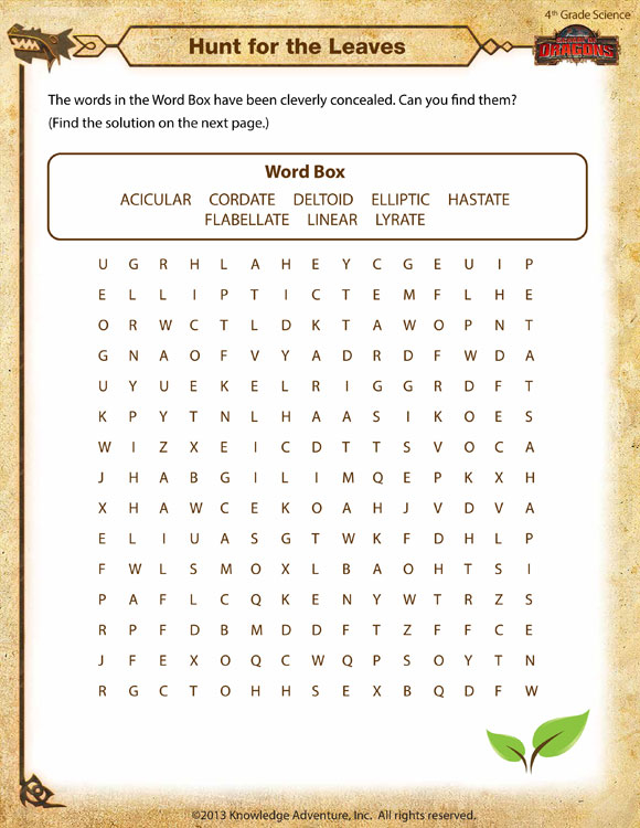 Hunt For The Leaves View 4th Grade Science Worksheets SoD