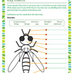 Icky Insects Worksheet 2nd Grade Life Science School Of Dragons