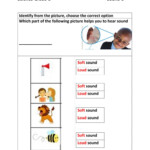 Image Result For Loud And Soft Sounds Worksheets For Grade Sounds