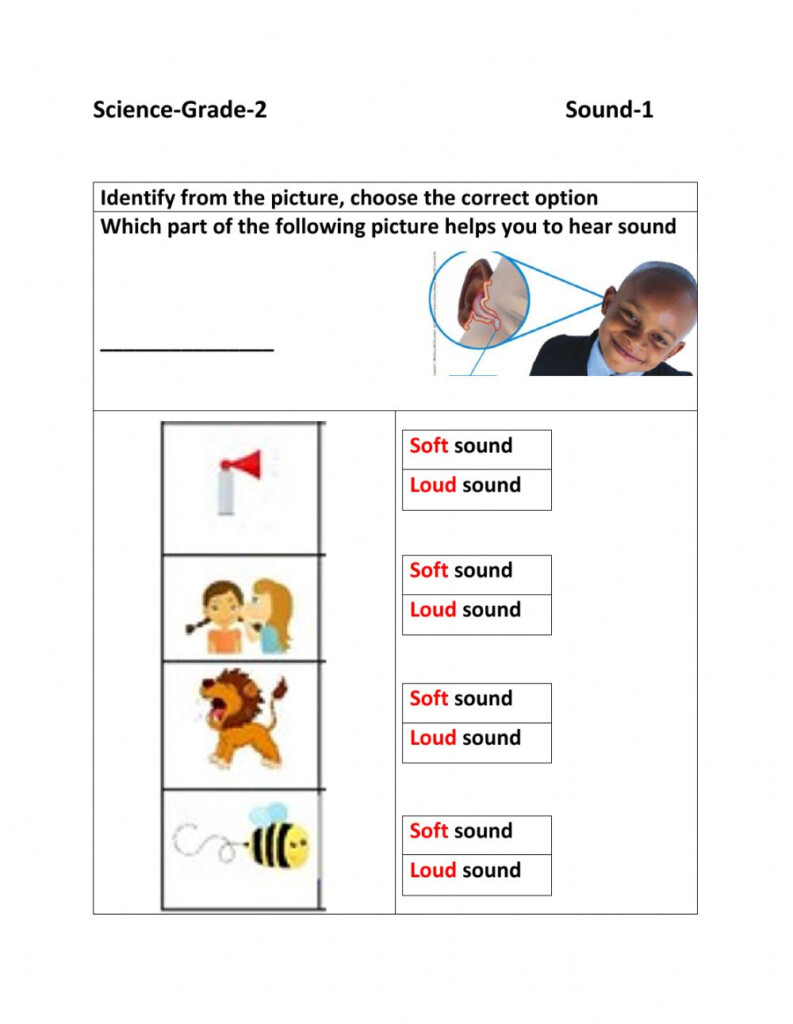 Image Result For Loud And Soft Sounds Worksheets For Grade Sounds 