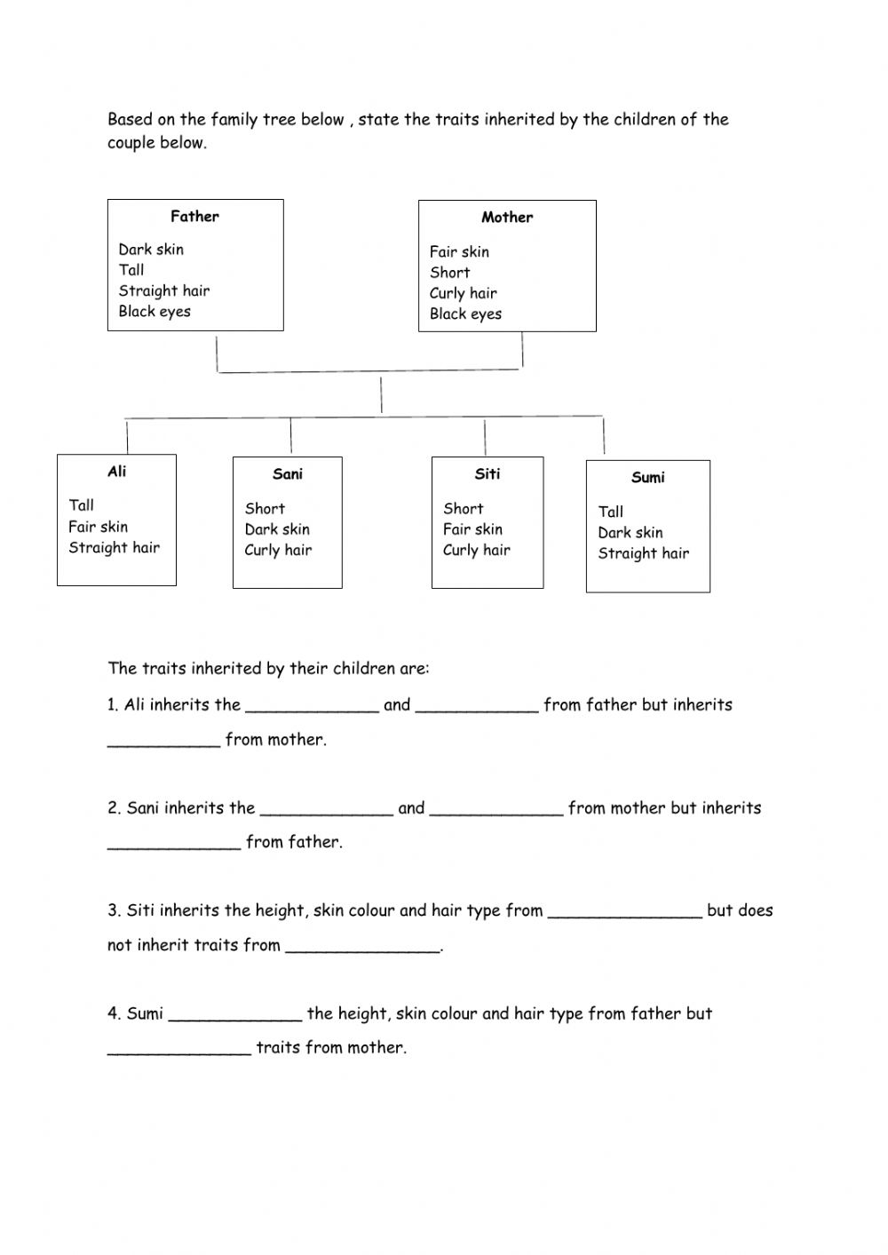 Inheritance Year 2 Worksheet