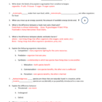 Interactions In Ecosystems Worksheet Answer Key TUTORE ORG Master