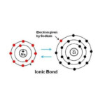 Ionic Bond Science Chemistry Chemical Bonds Showme My XXX Hot Girl