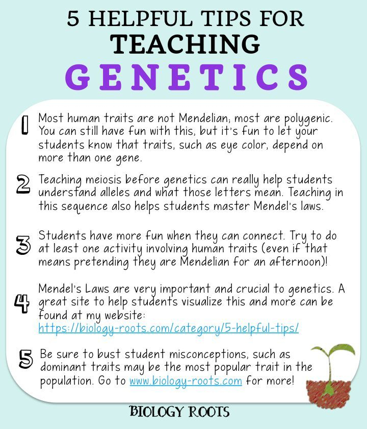 It s Not Rocket Science 2022 Worksheet Answers Scienceworksheets