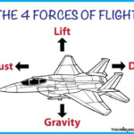 Learning About Flight With Paper Airplanes Grade 6 Science Worksheets