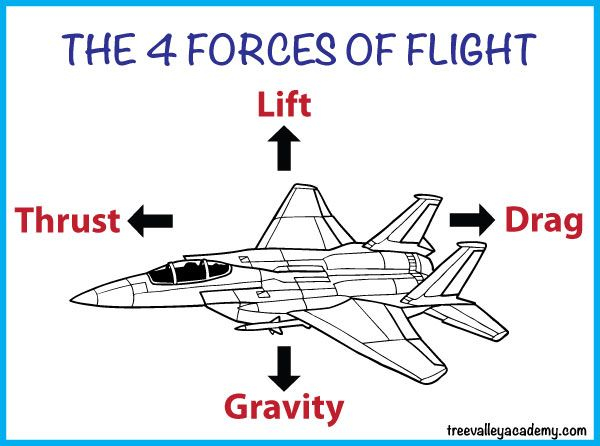 Learning About Flight With Paper Airplanes Grade 6 Science Worksheets 