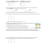 Mendelian Genetics Worksheet Answers