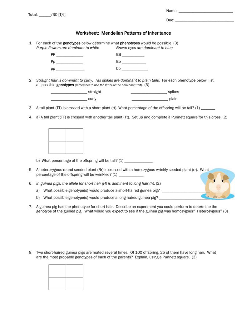 a-computer-science-inheritance-worksheet-2-answers-scienceworksheets