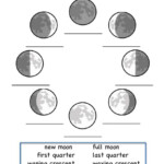 Moon Phases Online Worksheet