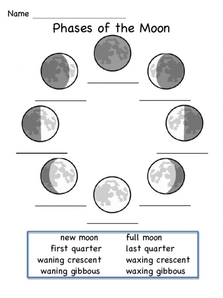 Moon Phases Online Worksheet