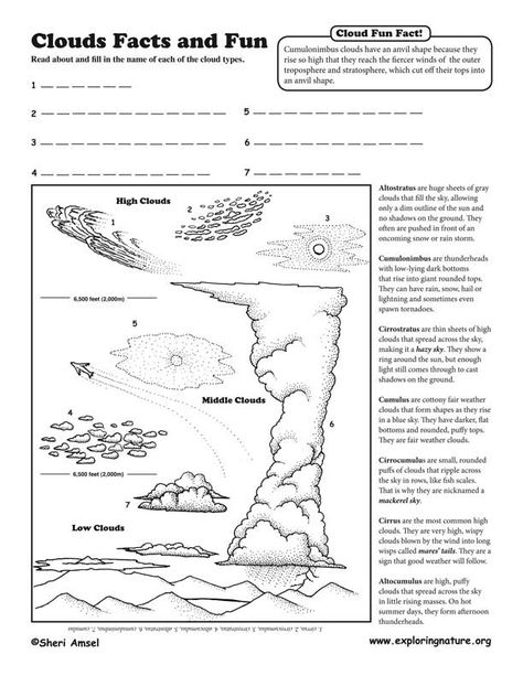 Naming Clouds Activity Sheet Cloud Activities Elementary Education 